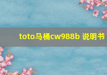 toto马桶cw988b 说明书